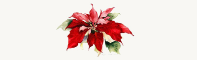 poinsettia icon